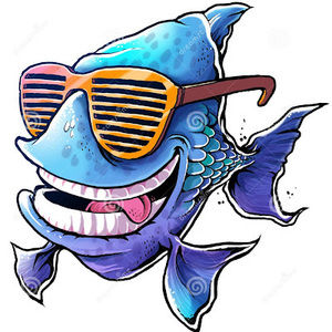 Meet your Posher, Hayden